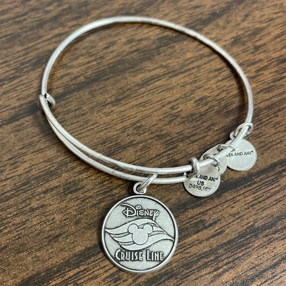 Alex and Ani Jewelry 26 Silver Disney Cruise Line Alex And Ani